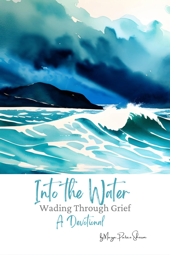 Cover of Into the Water