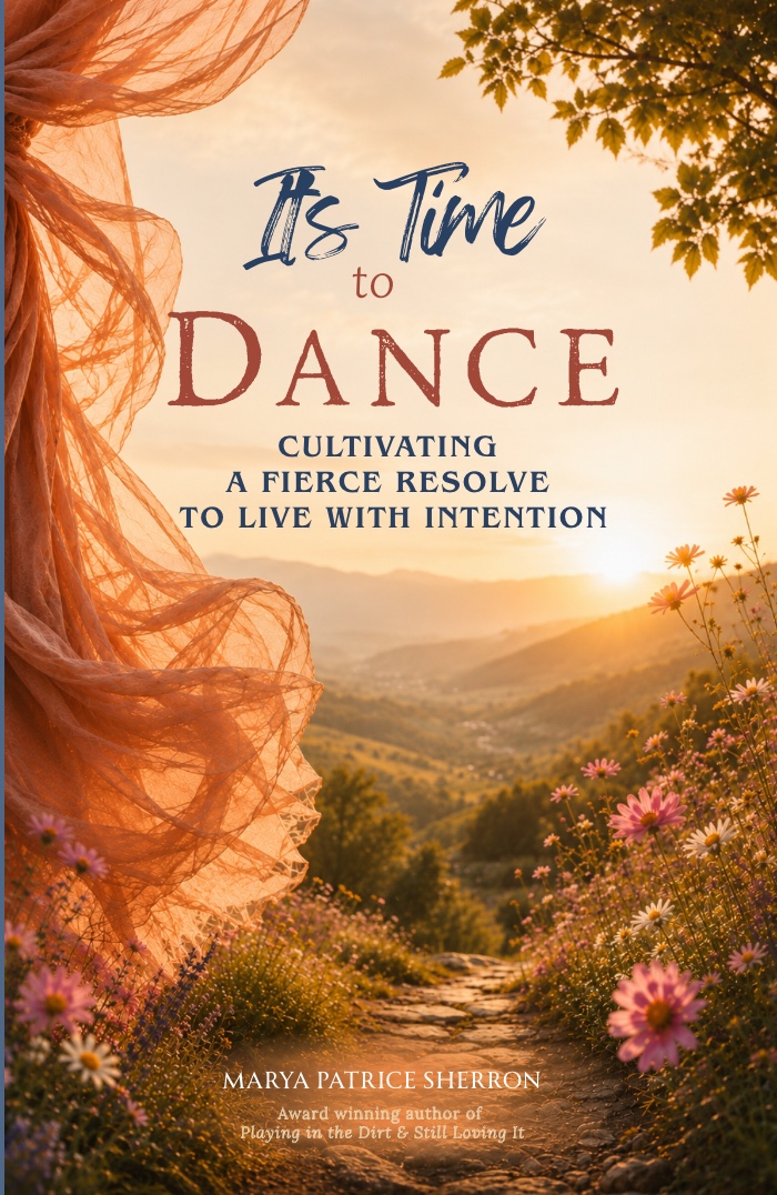 Cover of It’s Time to Dance