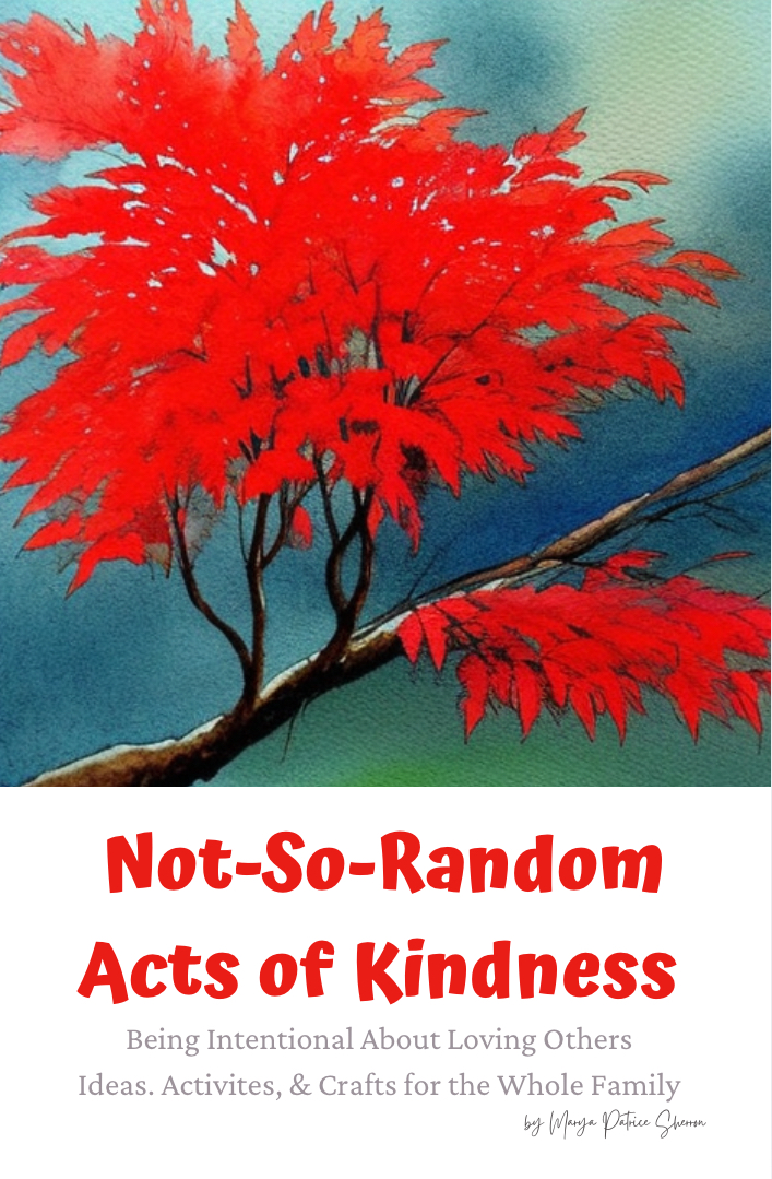 Cover of Not-So-Random Acts of Kindness